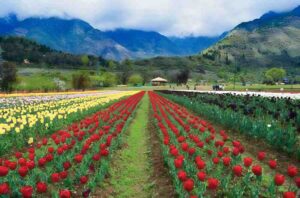 Top 10 Must-Visit Places in Kashmir: Your Ultimate Travel Guide